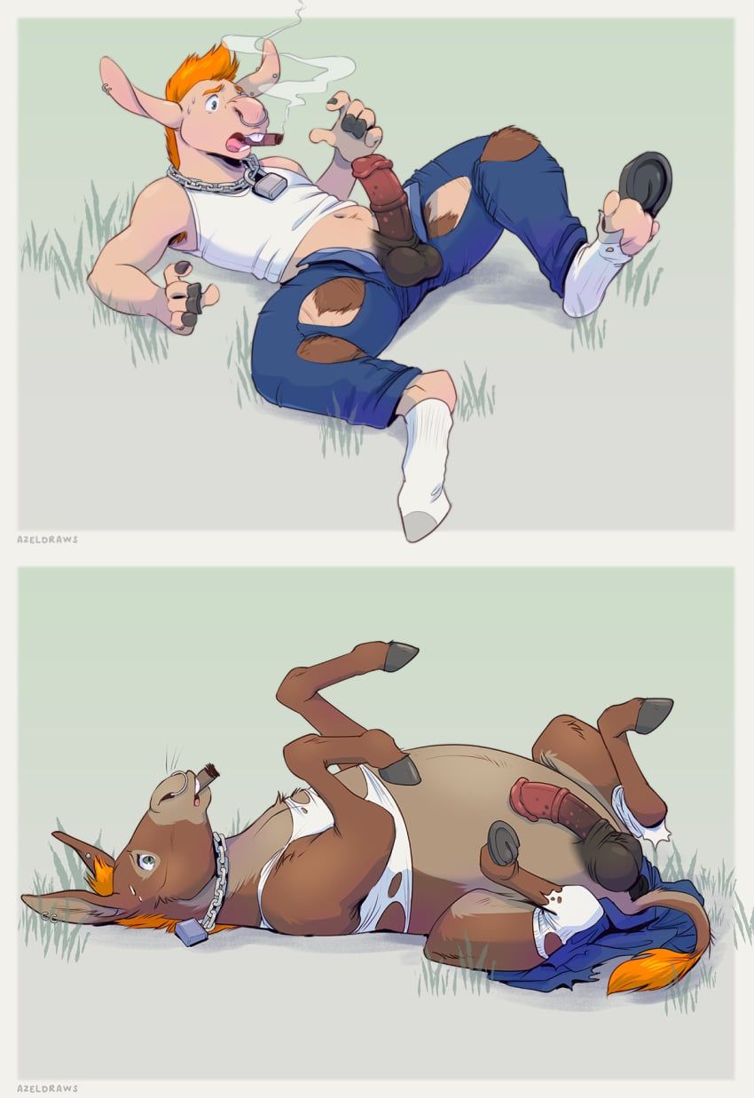 azeldraws, animal_genitalia, animal_penis, anus, asinus