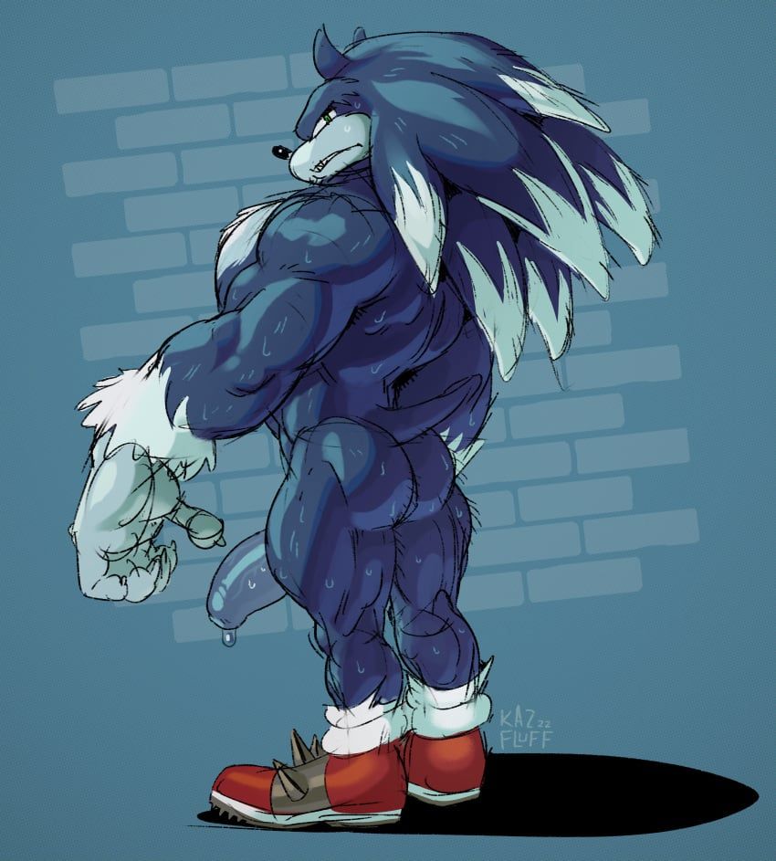 sonic_the_werehog, sega, sonic_(series), sonic_the_hedgehog_(series), sonic_unleashed