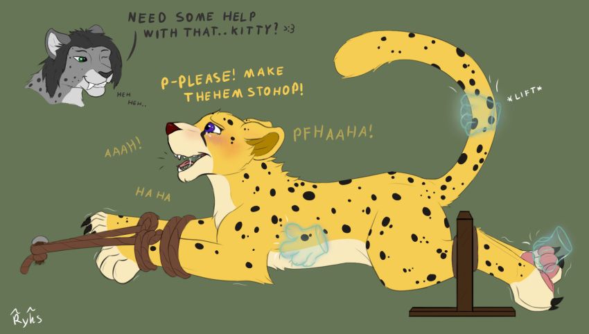 ryks, begging, bondage, bound, cheetah