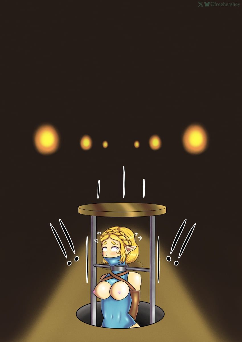 princess_zelda, zelda_(tears_of_the_kingdom), tears_of_the_kingdom, the_legend_of_zelda, freehershey