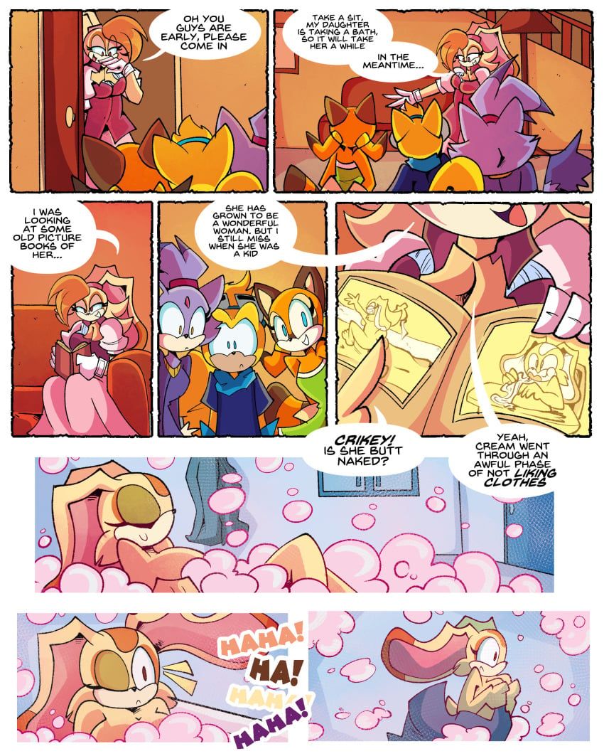 blaze_the_cat, cream_the_rabbit, marine_the_raccoon, ray_the_flying_squirrel, vanilla_the_rabbit