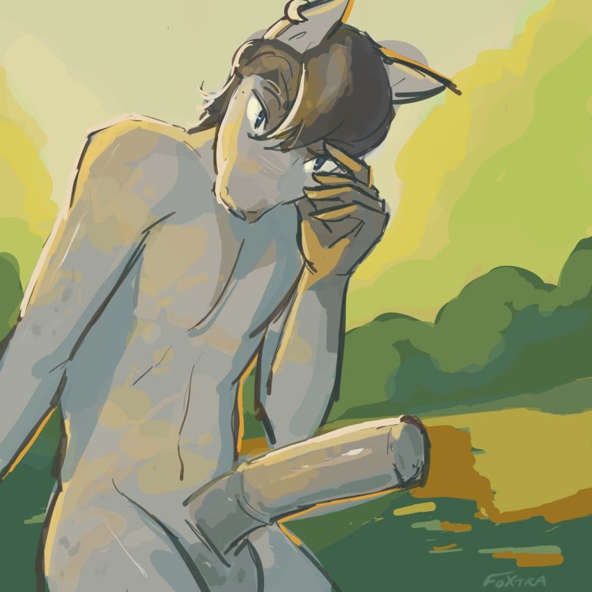 foxtra, oxtra, animal_genitalia, animal_penis, anthro