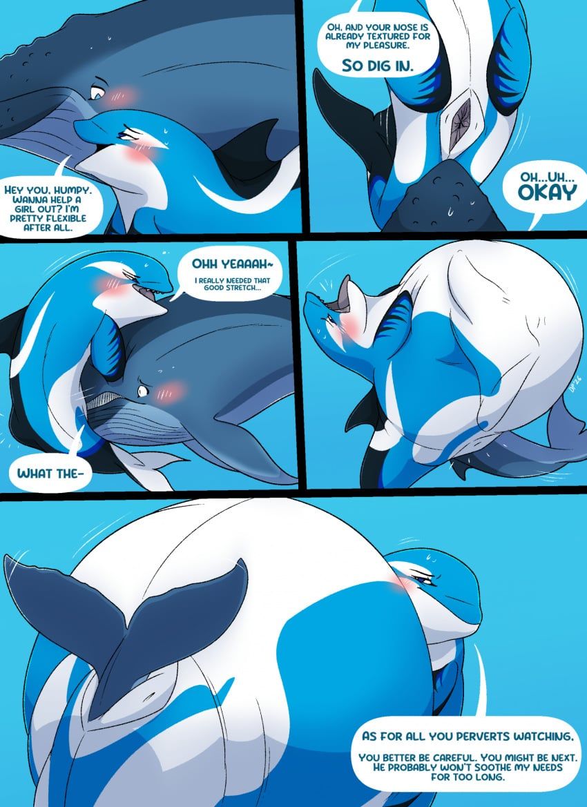 chlurx, dolphinproject, ambiguous_gender, animal_genitalia, animal_vulva
