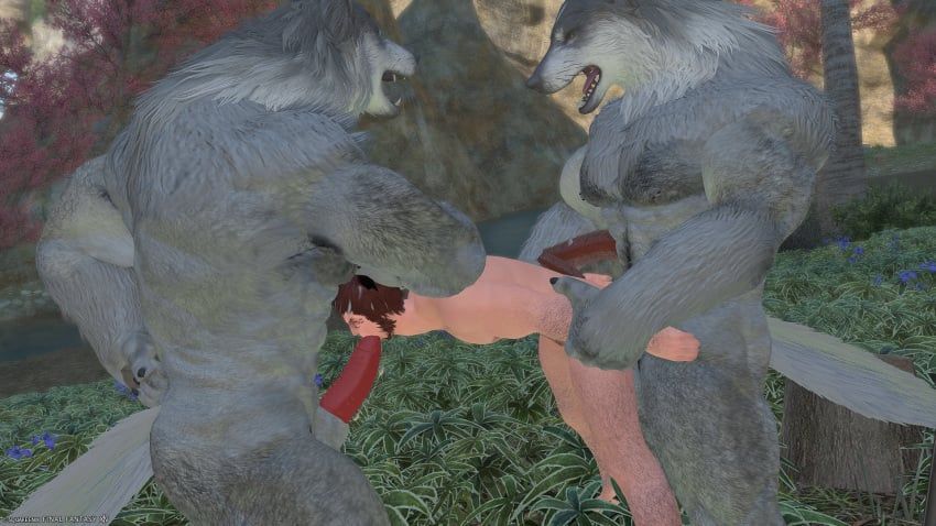 hrothgar, miqo'te, 3boys, andromorph, animal_genitalia