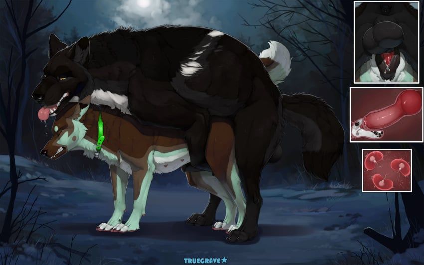echo_(wolffylegend), sheppermint, truegrave9, anatomically_correct, anatomically_correct_genitalia