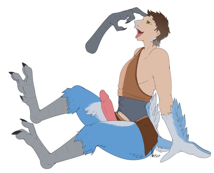 rito, nintendo, the_legend_of_zelda, narusewolf, ambiguous_gender