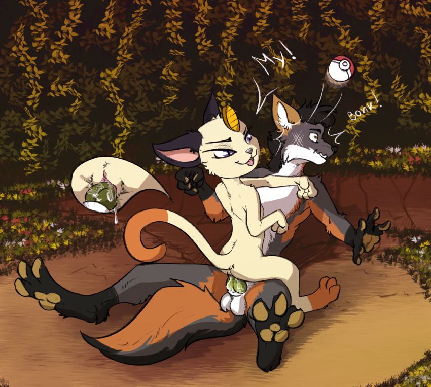 nintendo, pokemon, zafara_(artist), animal_genitalia, animal_penis