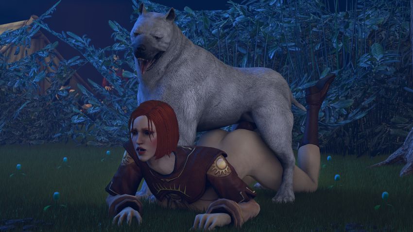 leliana, mabari, morrigan_(dragon_age), wynne_(dragon_age), dragon_age