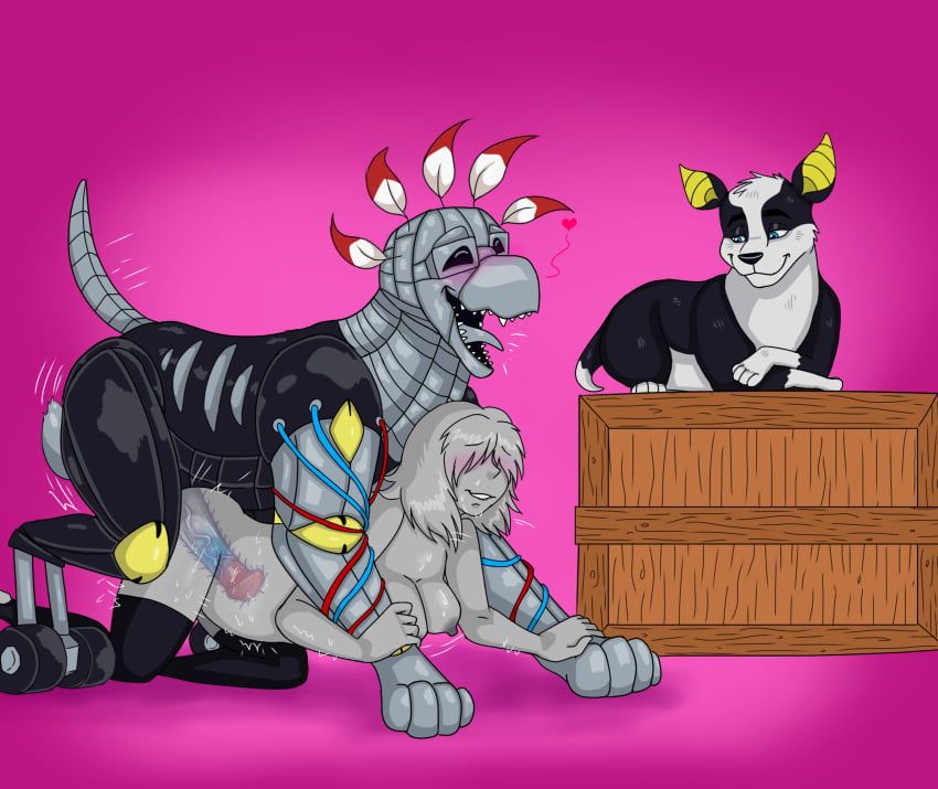 anon, iggy_(jjba), the_fool_(jjba), jojo's_bizarre_adventure, stardust_crusaders