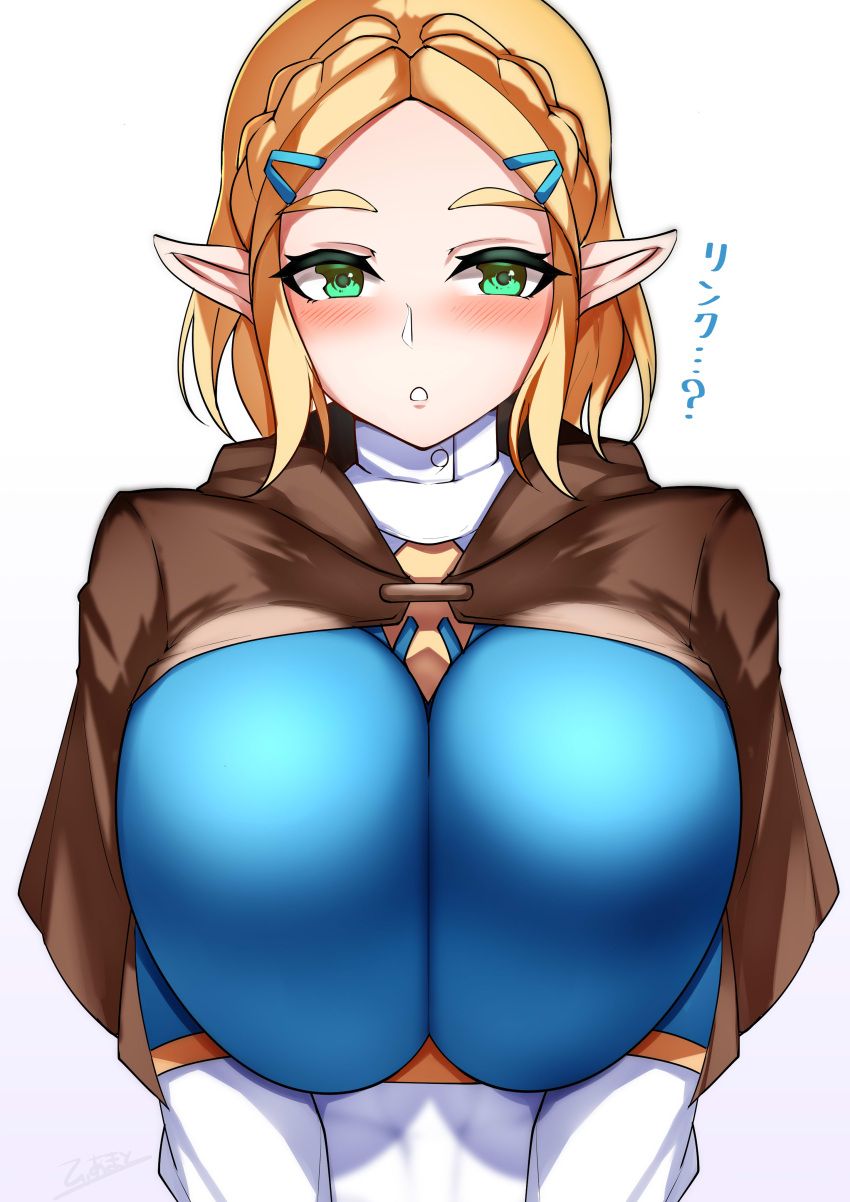 princess_zelda, zelda_(tears_of_the_kingdom), nintendo, tears_of_the_kingdom, the_legend_of_zelda