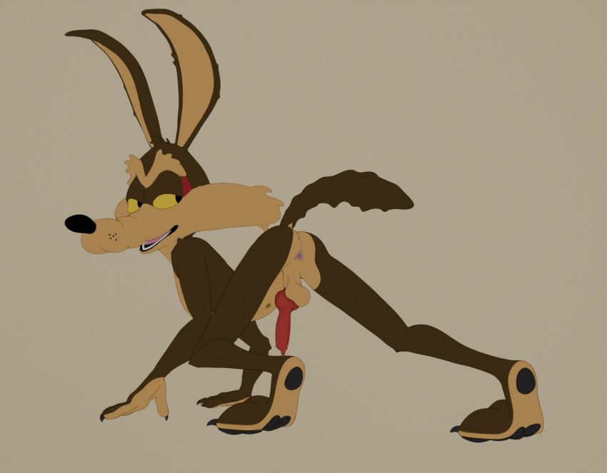 wile_e._coyote, looney_tunes, ass, asshole, balls