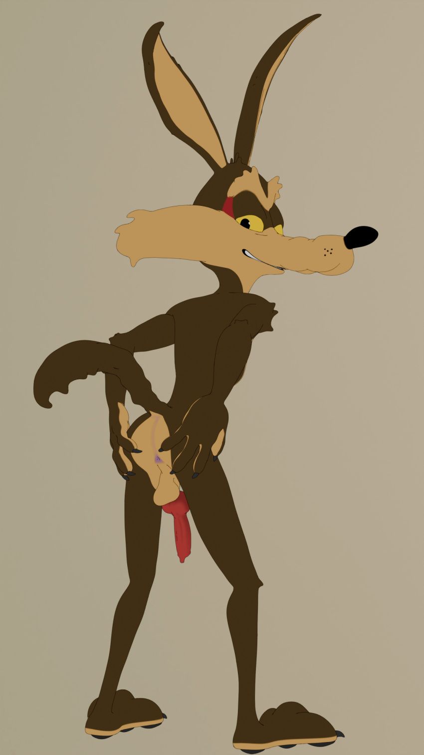 wile_e._coyote, looney_tunes, ass, asshole, balls