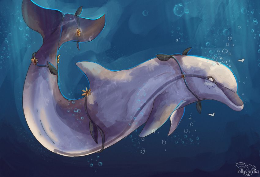 fluke, alamoya_(hollyvardia), blind_eye, blush, bottlenose_dolphin