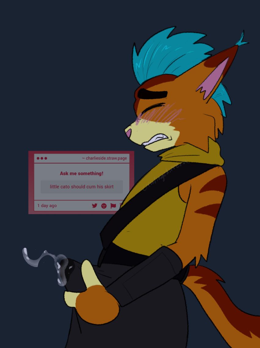 little_cato, final_space, chimeracocks, anthro, catboy