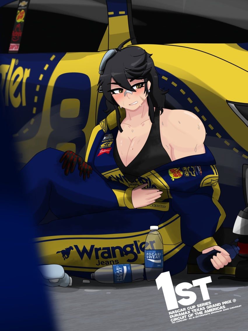 arby's, budweiser, chevrolet, goodyear, nascar