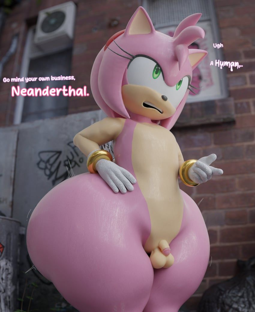 amy_rose, sega, sonic_(series), sonic_the_hedgehog_(series), uncle_aiden