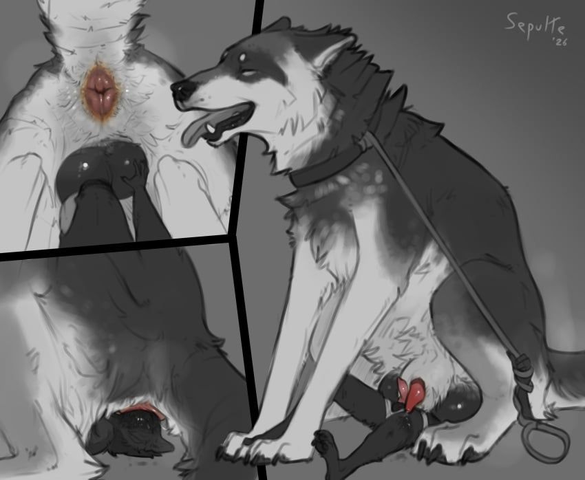 sepulte, anal, anal_penetration, anatomically_correct, anatomically_correct_anus