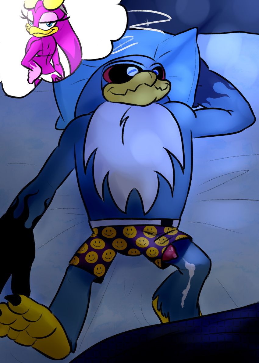 luna_(disambiguation), storm_the_albatross, wave_the_swallow, sonic_(series), sonic_riders