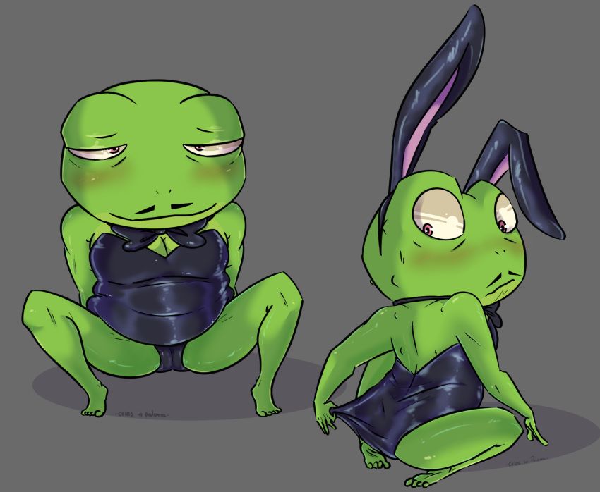 jamack, kipo_and_the_age_of_wonderbeasts, bunnysuit, cuntboy, intersex