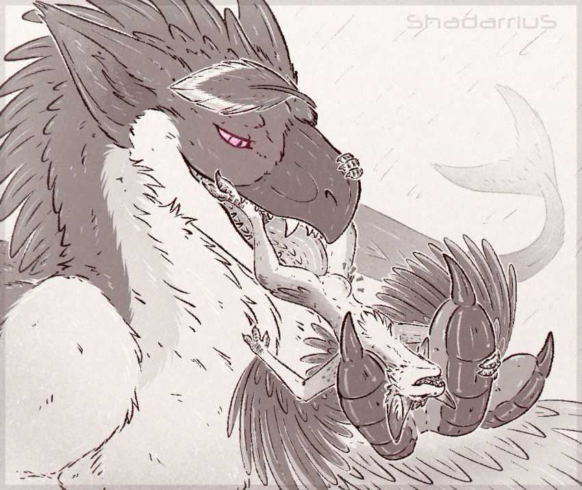 ryke_sellwing, taluki_(vixie), avali, shadarrius, anthro
