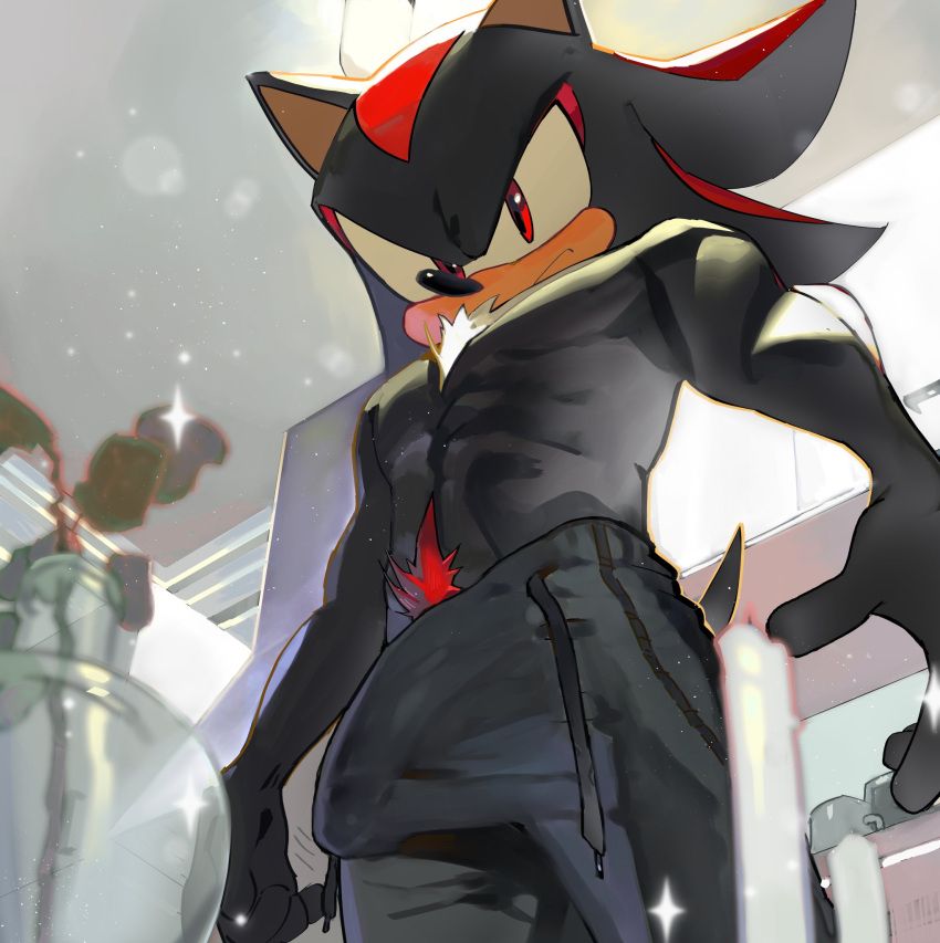 shadow_the_hedgehog, sonic_(series), sonic_the_hedgehog_(series), pinklilim, 1boy