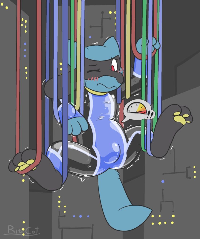 pokemon_(species), pokémon_(species), riolu, nintendo, pokemon