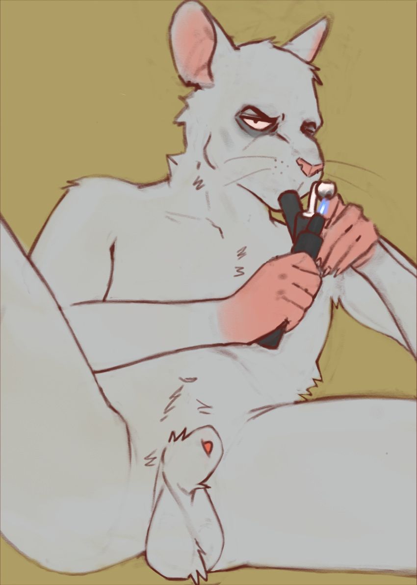 contort_desire, animal_genitalia, anthro, balls, drugs