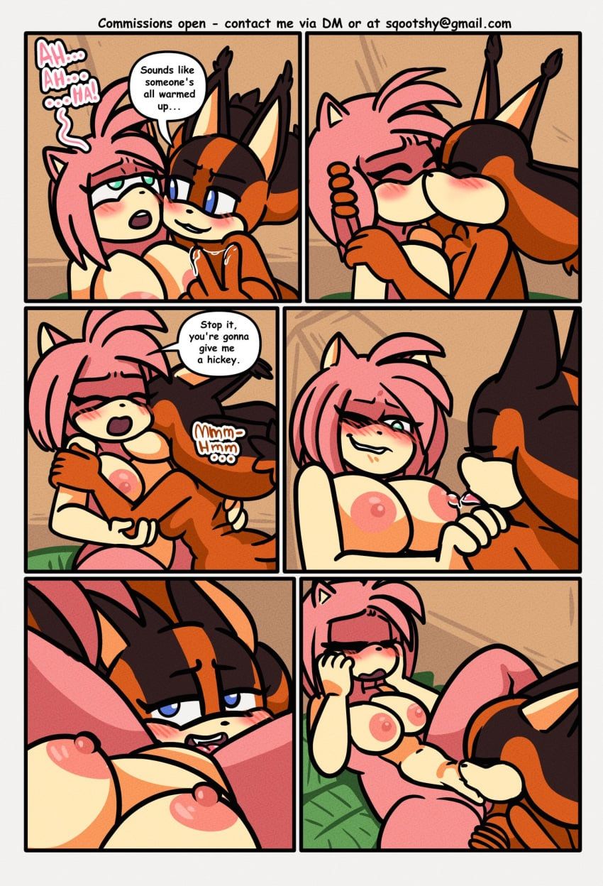 amy_rose, sticks_the_badger, sonic_(series), sonic_the_hedgehog_(series), sqootshy