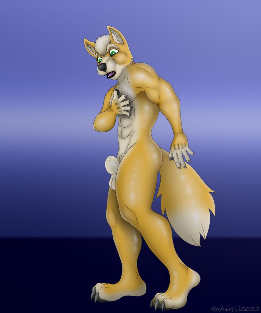 nintendo, star_fox, animal_genitalia, anthro, canid