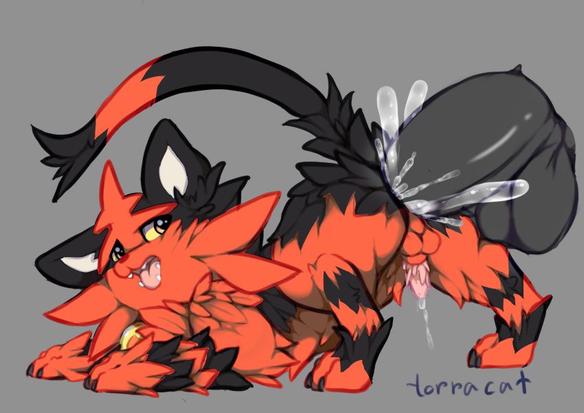 generation_7_pokemon, nyaheat, pokemon_(species), torracat, nintendo