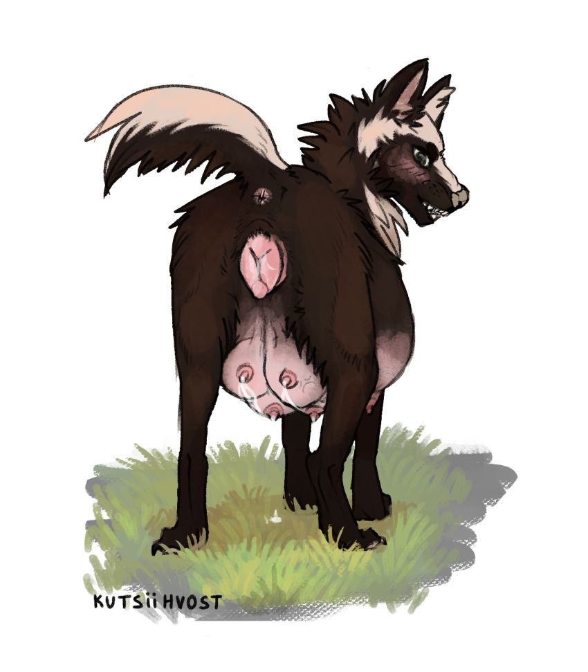 albert, kutsiihvost, anatomically_correct, anatomically_correct_genitalia, anatomically_correct_pussy
