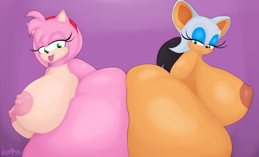 amy_rose, rouge_the_bat, sonic_(series), sonic_the_hedgehog_(series), lewdape