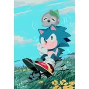 koco_(sonic), sonic_the_hedgehog, sonic_(series), sonic_frontiers, aimf