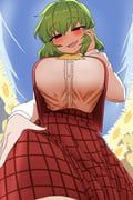 kazami_yuuka, touhou, bronzesilver, 1girl, arm_up