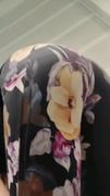 ass, ass_focus