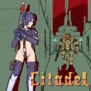 incinerator_(the_citadel), martyr_(the_citadel), the_citadel, wolfenstein_(series), wolfenstein_3d