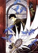 clover_(manga), clamp_(circle), 1boy, bird, black_eyes