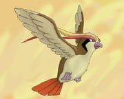 pidgeot, pokemon, sentbox, bird, feathered_wings