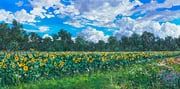original, kate_avery, blue_flower, blue_sky, cloud
