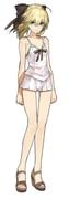 artoria_pendragon_(fate), saber_(fate), saber_(summer_memory)_(fate), fate/extella, fate/extra
