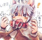 gabriel_(summon_night), summon_night, summon_night:_swordcraft_story_2, gomarucket, !