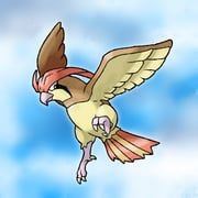 pidgeotto, pokemon, unbrokensky, bird, blurry