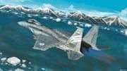 trigger_(ace_combat), ace_combat, ace_combat_7, shinji_(shinjisq), 1boy