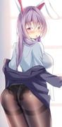 reisen_udongein_inaba, touhou, shiso_gohan, 1girl, animal_ears