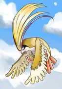 pidgeot, pokemon, mihalkman, bird, blue_sky