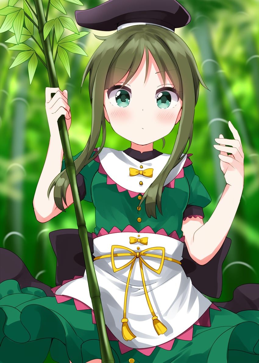 teireida_mai, touhou, ruu_(tksymkw), 1girl, apron