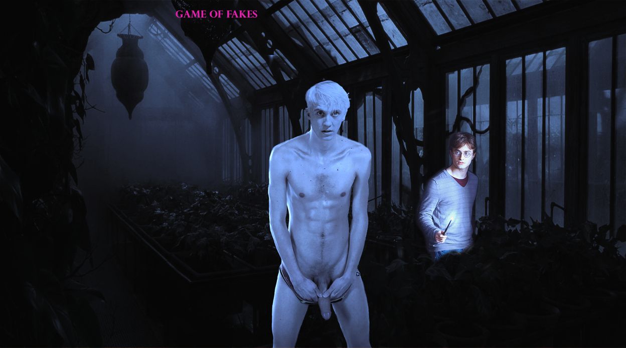Daniel_Radcliffe, Draco_Malfoy, Game_of_Fakes, Harry_James_Potter, Harry_Potter
