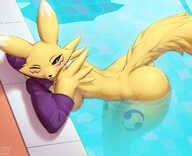 Digimon, Renamon, chipsgm