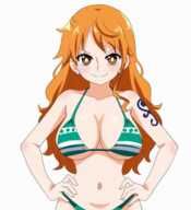 Nami, One_Piece, animated, unholysoul