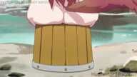 Maplestar, Naofumi_Iwatani, Raphtalia, The_Rising_of_the_Shield_Hero, animated